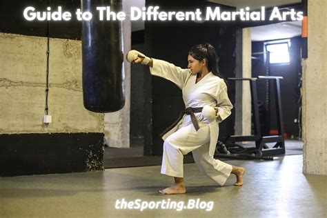 What is the Best Martial Art, and Does It Really Matter in the Grander Scheme of Personal Growth?